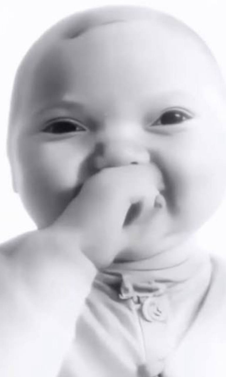 Baby Niche
